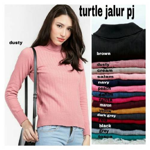 turtle jalur pj