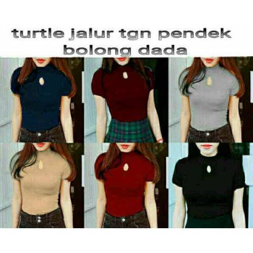 turtle pdk bolong